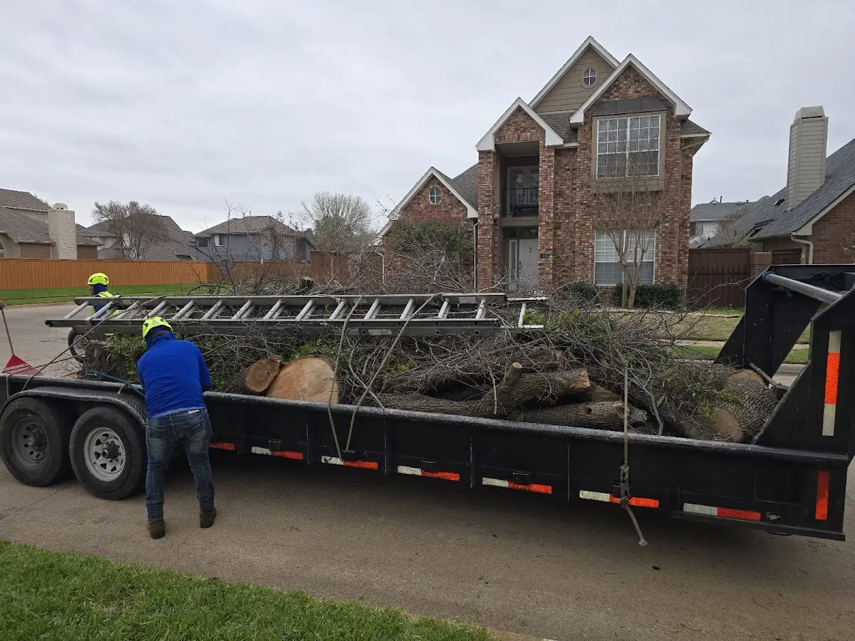 Expert Crown Reduction with proper safety equipment in Allenton